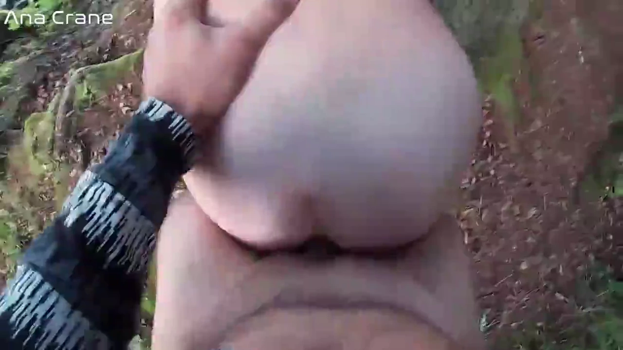 Hot brunette gives a blowjob and gets a creampie in her ass from a horny tourist in the woods porn video